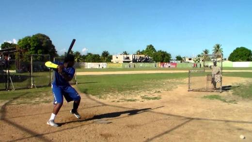 The power is real: 15 year old Vladimir Guerrero Jr. blasts 33 homers in 60 swings