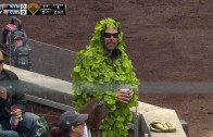 Cubs fan wears a Wrigley Field ivy outfit