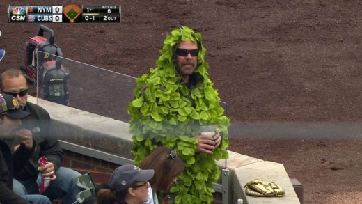 Cubs fan wears a Wrigley Field ivy outfit