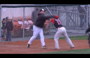Baseball managers in Alaska throw down with blows!