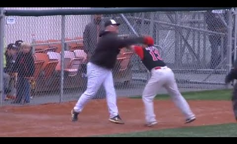 Baseball managers in Alaska throw down with blows!