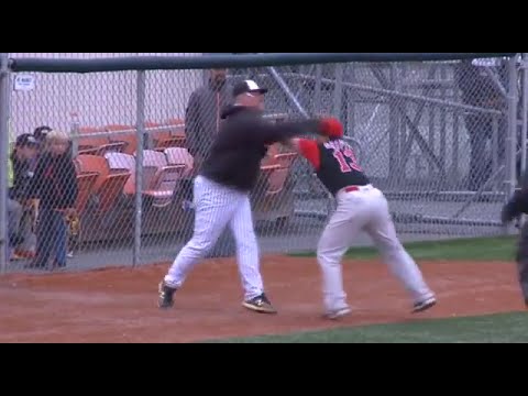 Baseball managers in Alaska throw down with blows!