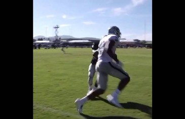 Oakland Raiders WR Brice Butler makes a sweet one handed grab
