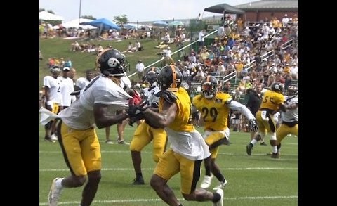 Steelers WR Martavis Bryant makes sweet grab despite being held