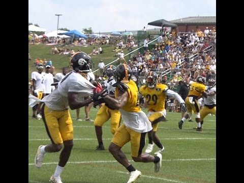 Steelers WR Martavis Bryant makes sweet grab despite being held