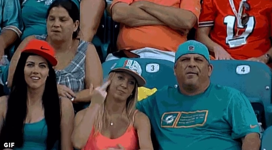 Miami Dolphins fan flips 