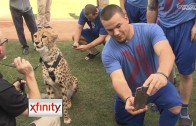 Chicago Cubs players take selfies with cheetah before game