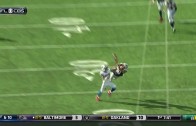 Patriots WR Danny Amendola makes a spectacular catch