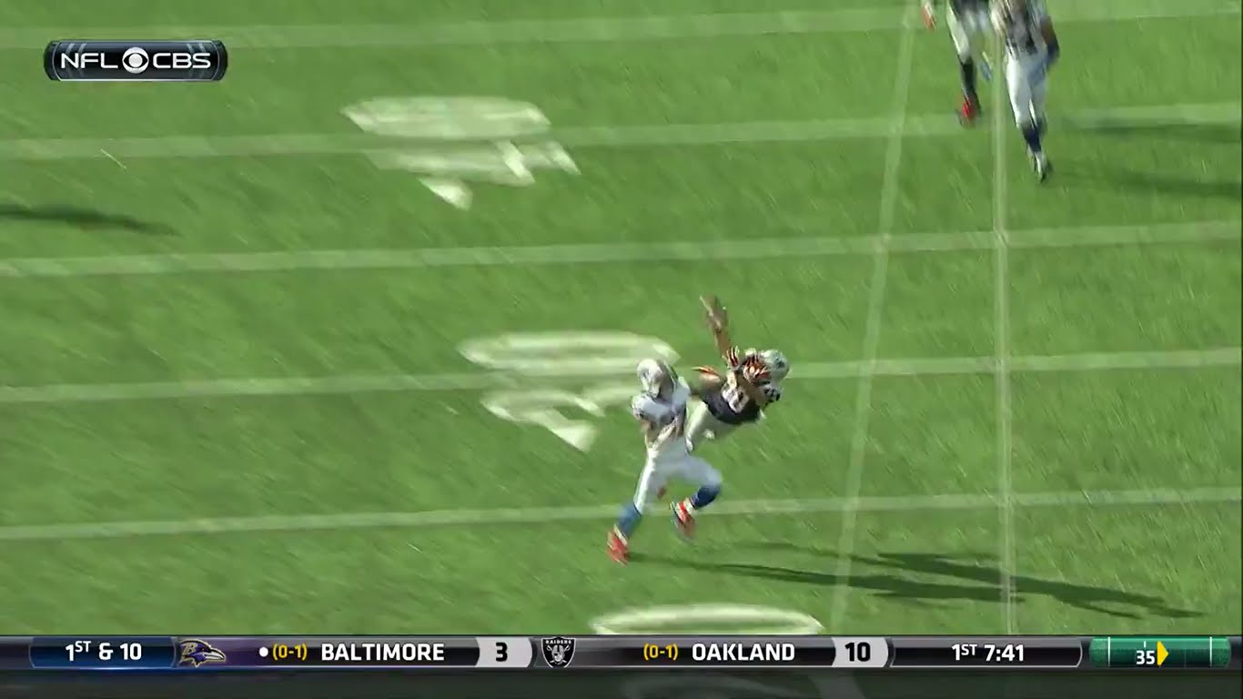 Patriots WR Danny Amendola makes a spectacular catch