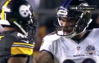 Steve Smith gives Steelers corner Antwon Blake a death glare