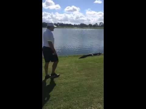 Former NHL player Jeremy Roenick tries to tackle alligator on golf course