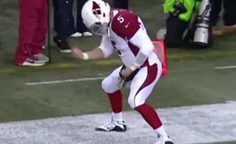 Drew Stanton was pumped up about the Arizona Cardinals win