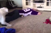 Vikings fan with priceless reaction to Blair Walsh missed field goal