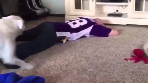 Vikings fan with priceless reaction to Blair Walsh missed field goal