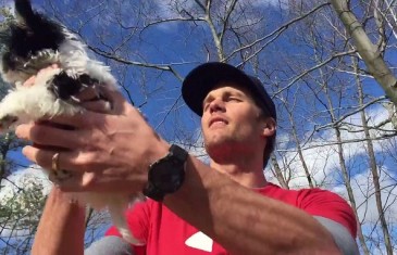 Tom Brady reenacts Lion King scene with his new puppy