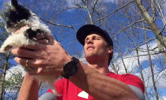 Tom Brady reenacts Lion King scene with his new puppy