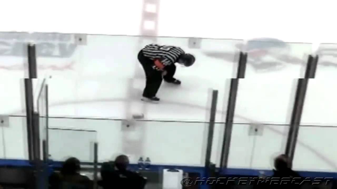 Fan throws beer right in the nuts of a hockey ref