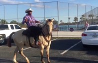 Yoenis Cespedes ditches cars for a horse