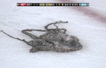 Red Wings fans throw octopus on the ice in Boston