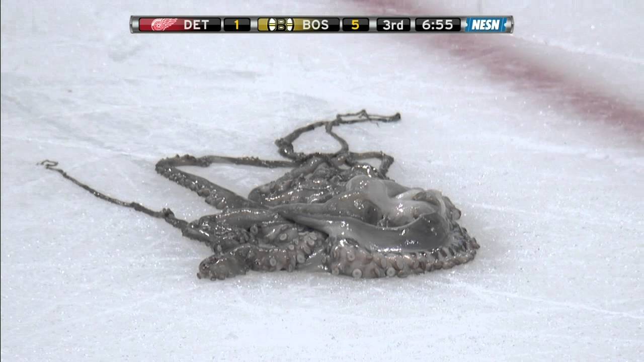Red Wings fans throw octopus on the ice in Boston