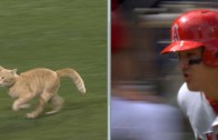 Angels broadcast compare cats speed to Mike Trout’s speed