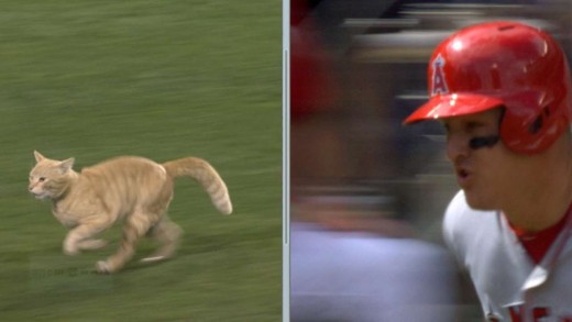 Angels broadcast compare cats speed to Mike Trout’s speed