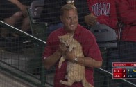 Cat runs on the field at Angels game