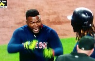 David Ortiz flips out on umpire after strikeout call