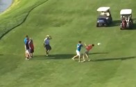 Golfers break into a fist fight on the Golf Course