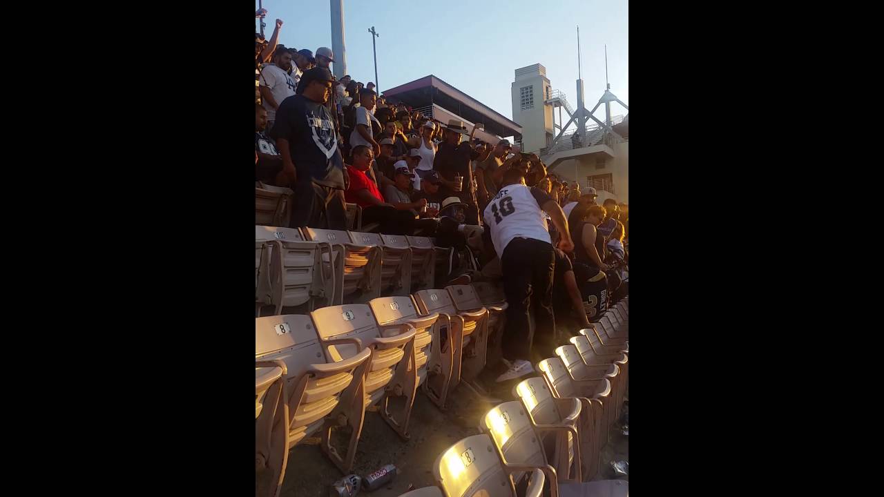 Massive brawl breaks out between Rams & Cowboys fans