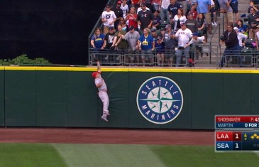 Mike Trout robs a grand slam from Leonys Martin