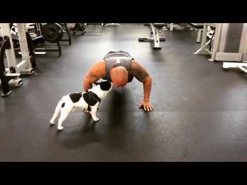 The Rock does 22 Pushups for U.S. Veterans