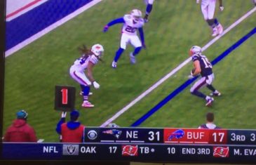 Buffalo Bills fan throws a dildo on the field