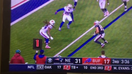 Buffalo Bills fan throws a dildo on the field