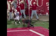 Linell Bonner makes an amazing one handed catch for Houston Cougars
