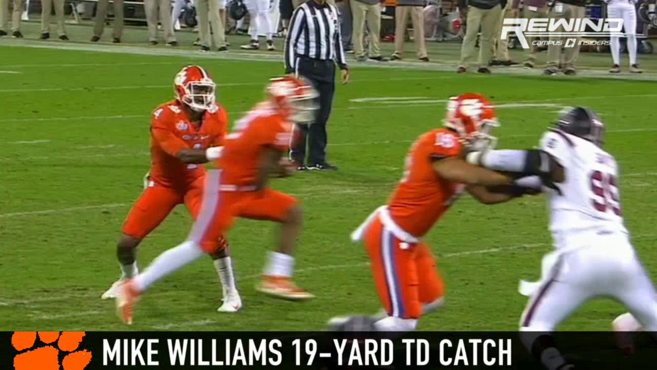 Clemson WR Mike Williams bullies South Carolina defenders for a touchdown