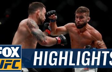 Frankie Edgar vs. Jeremy Stephens UFC 205 fight highlights