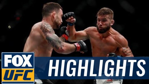 Frankie Edgar vs. Jeremy Stephens UFC 205 fight highlights