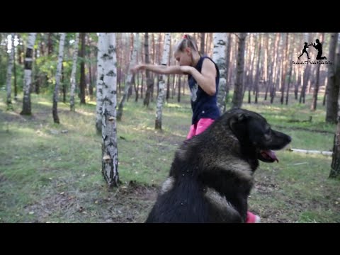 9 year old Evnika Saadvakass breaks a tree with her bare fists