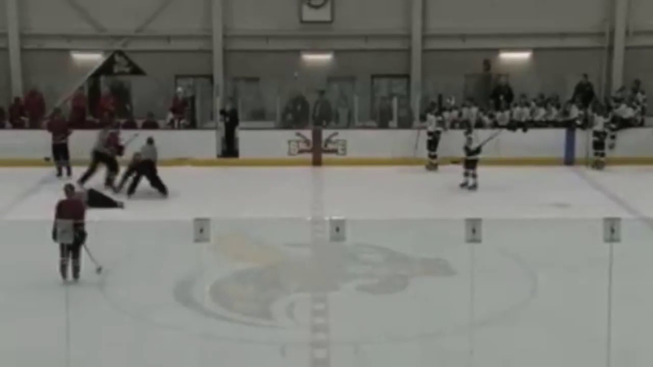 Community college Hockey game called off after player tackles referee