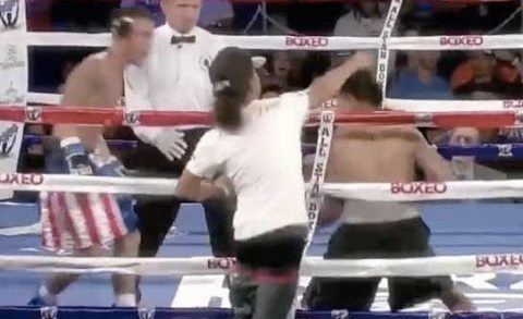 Spectator takes a swing at a Boxer during Live Boxing Match