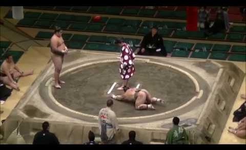 Sumo wrestler in Japan lands brutal UFC-style Knockout