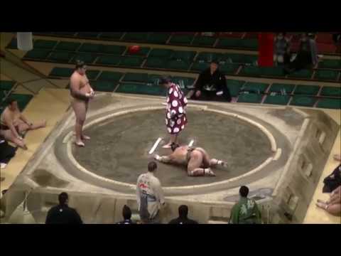 Sumo wrestler in Japan lands brutal UFC-style Knockout