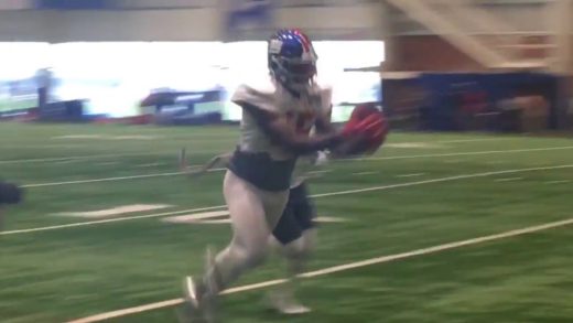 Giants’ Brandon Marshall makes impressive catch at training camp