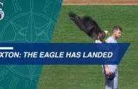 Bald eagle lands on Mariners pitcher James Paxton during anthem
