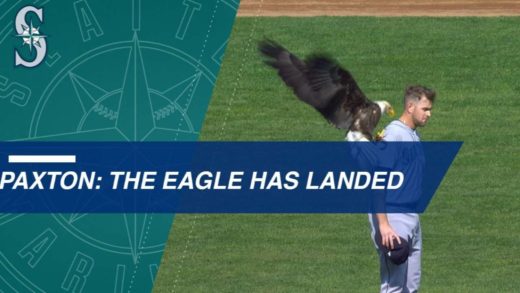 Bald eagle lands on Mariners pitcher James Paxton during anthem