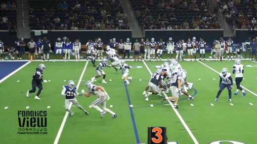 Cole Beasley makes a diving touchdown catch in practice