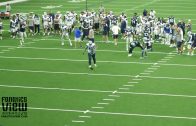 Cole Beasley makes a diving touchdown catch in practice
