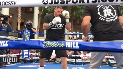 Andy Ruiz Shows Off Power & Combinations for Anthony Joshua Fight (Public New York Workout)