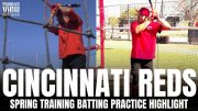 Joey Votto Smacks Homers at Cincinnati Reds Spring Training Camp | Batting Practice Highlight